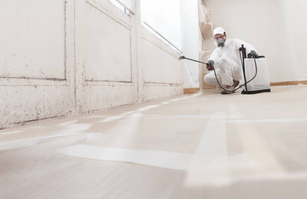 Trusted Mold Inspection service in Salix, PA - WQB Mold Removal
